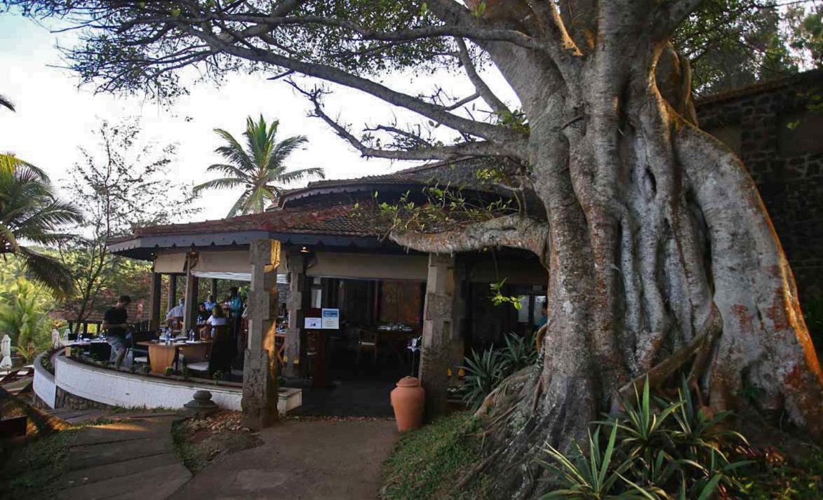 Niraamaya Wellness Retreats, Surya Samudra, Kovalam Exteriér fotografie